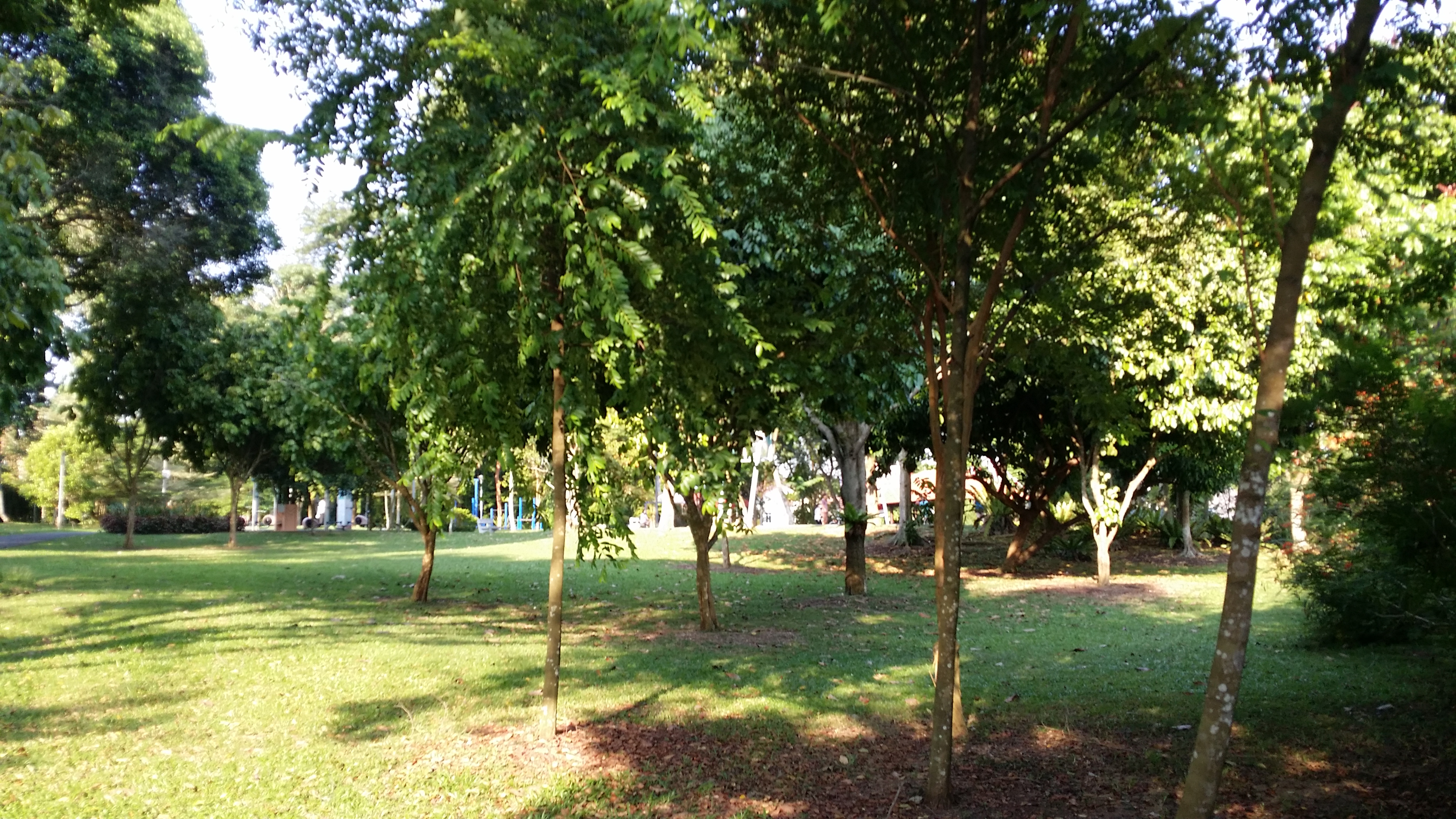 20160903_172522