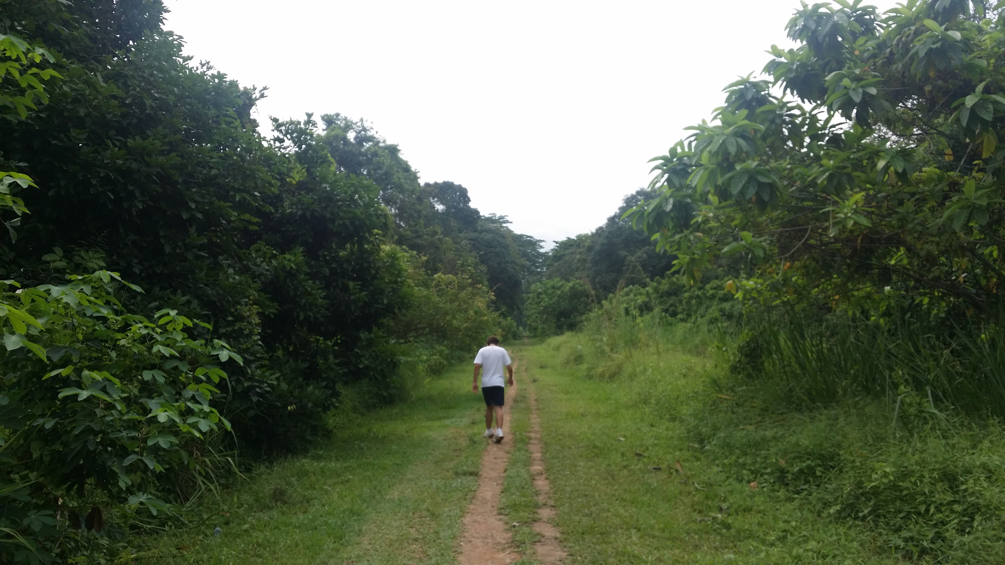 20150508_153611.jpg