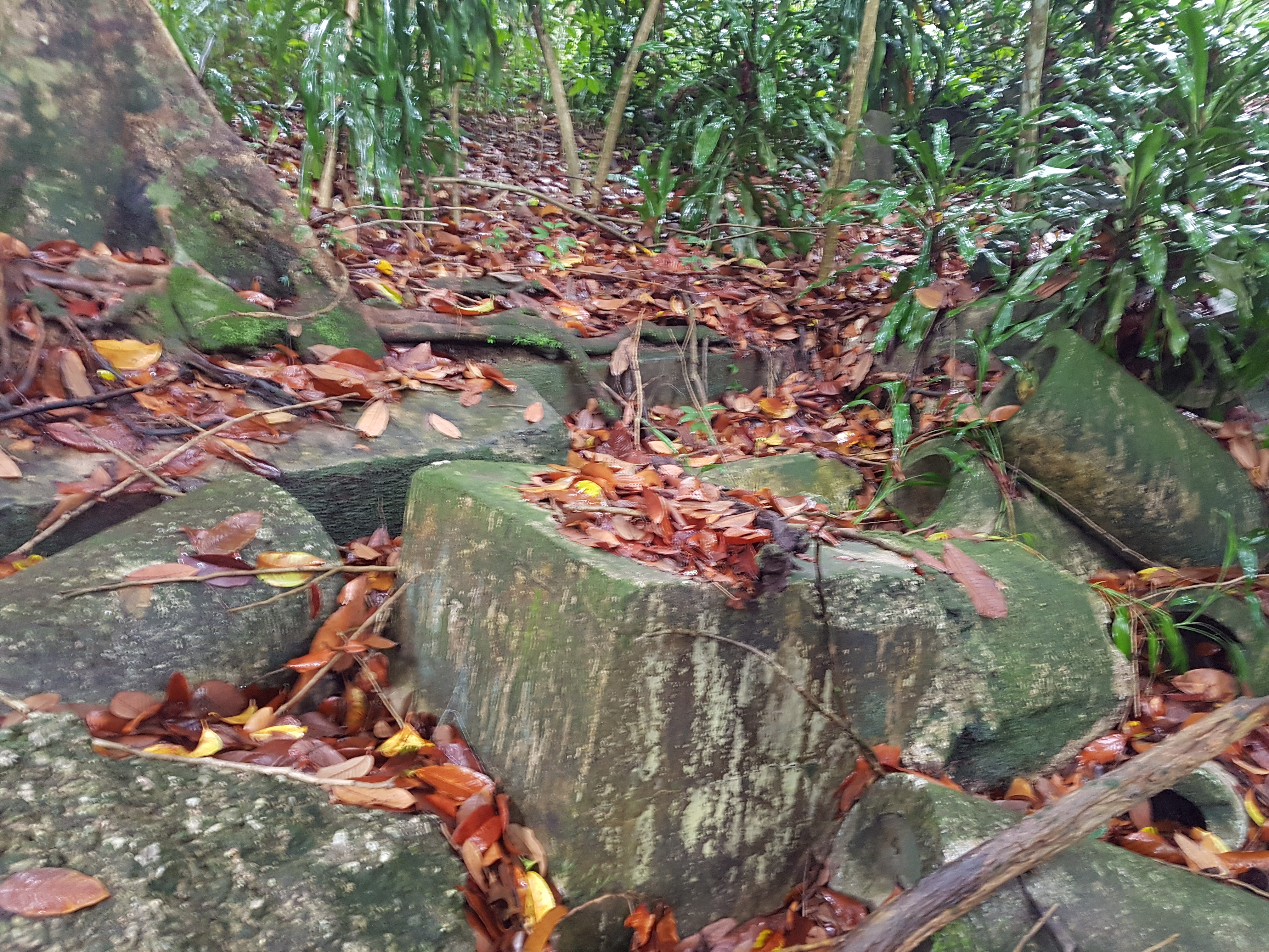 20171108_095401.jpg