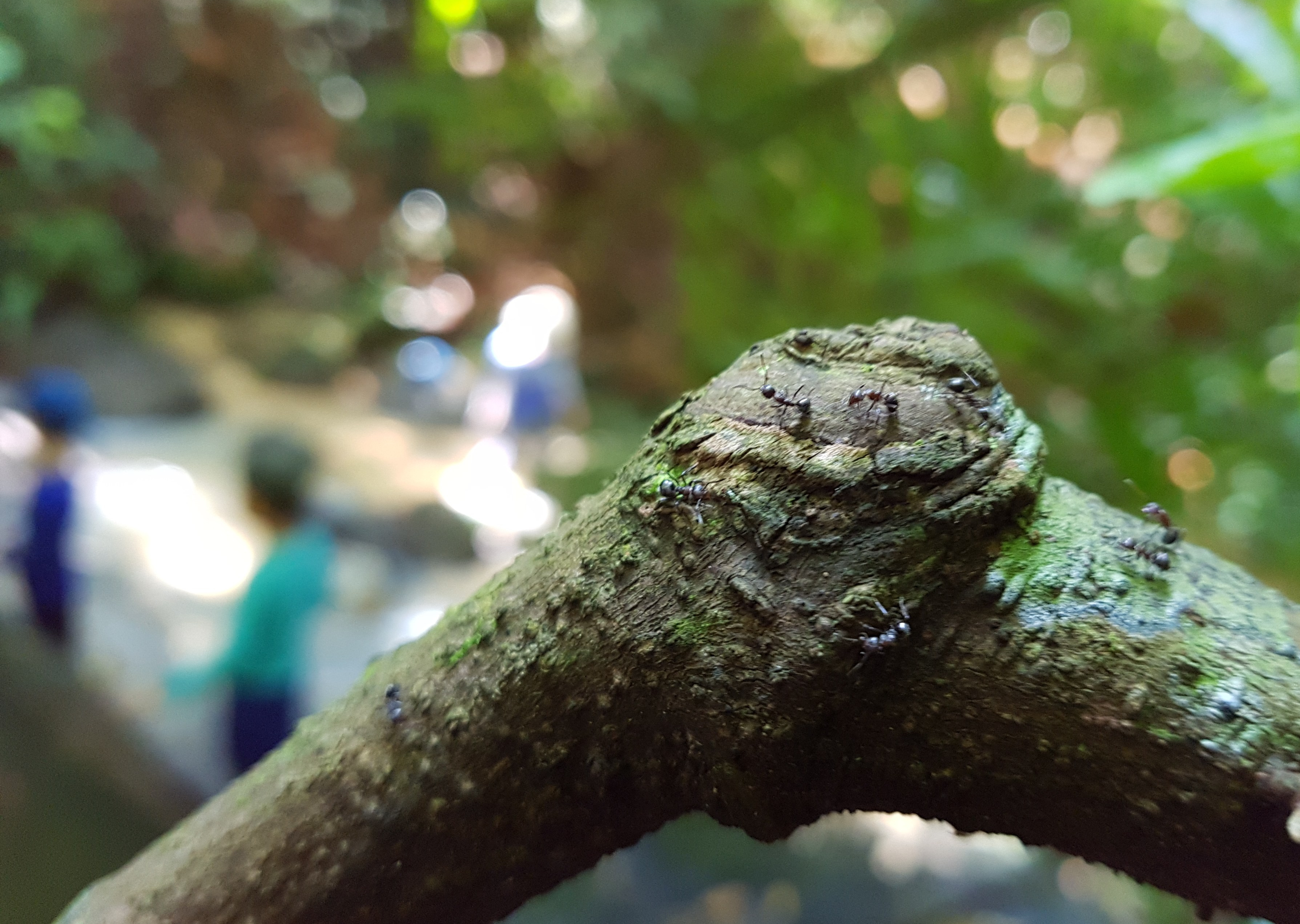 20180604_110029.jpg
