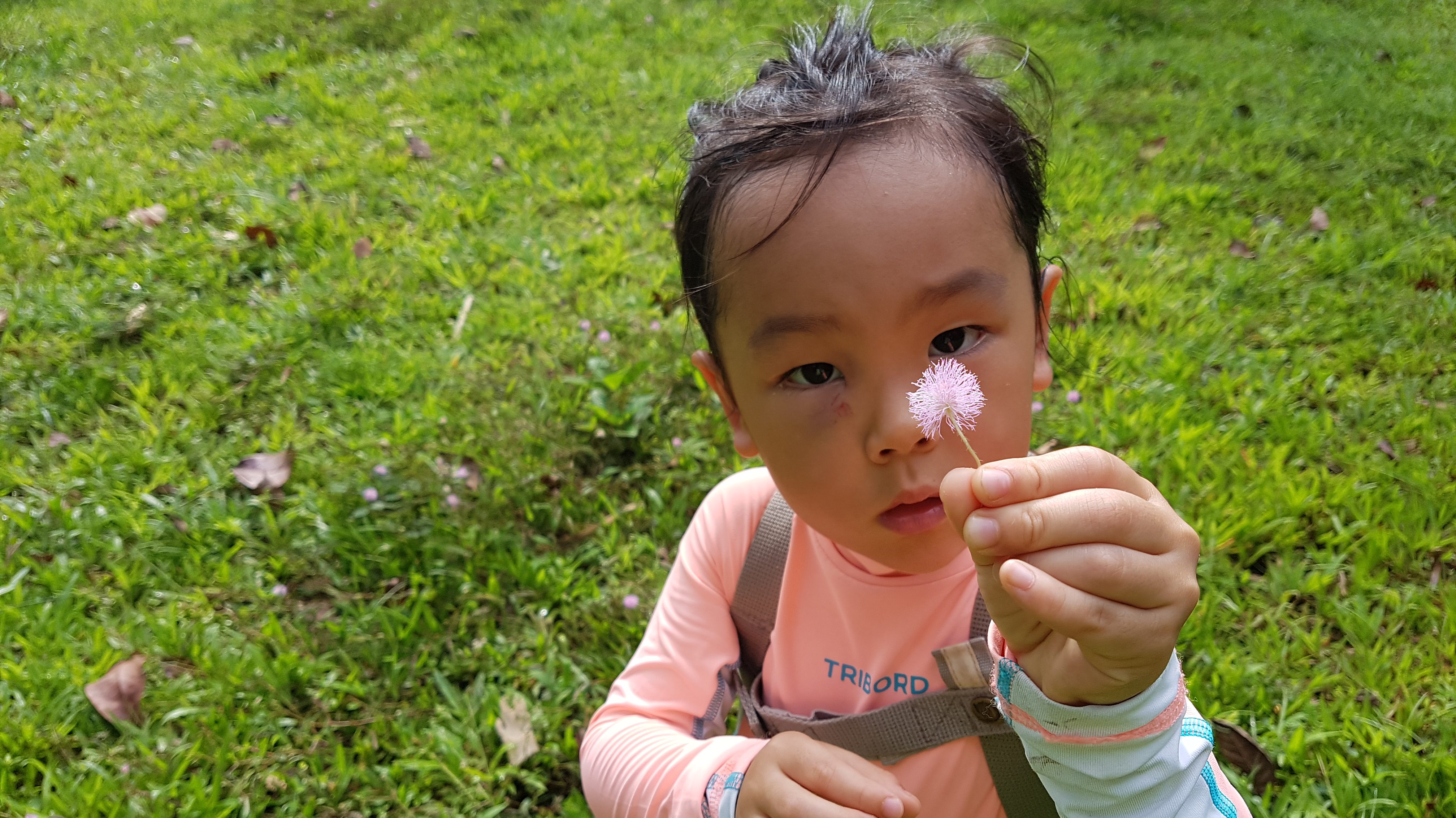 20170520_094356.jpg
