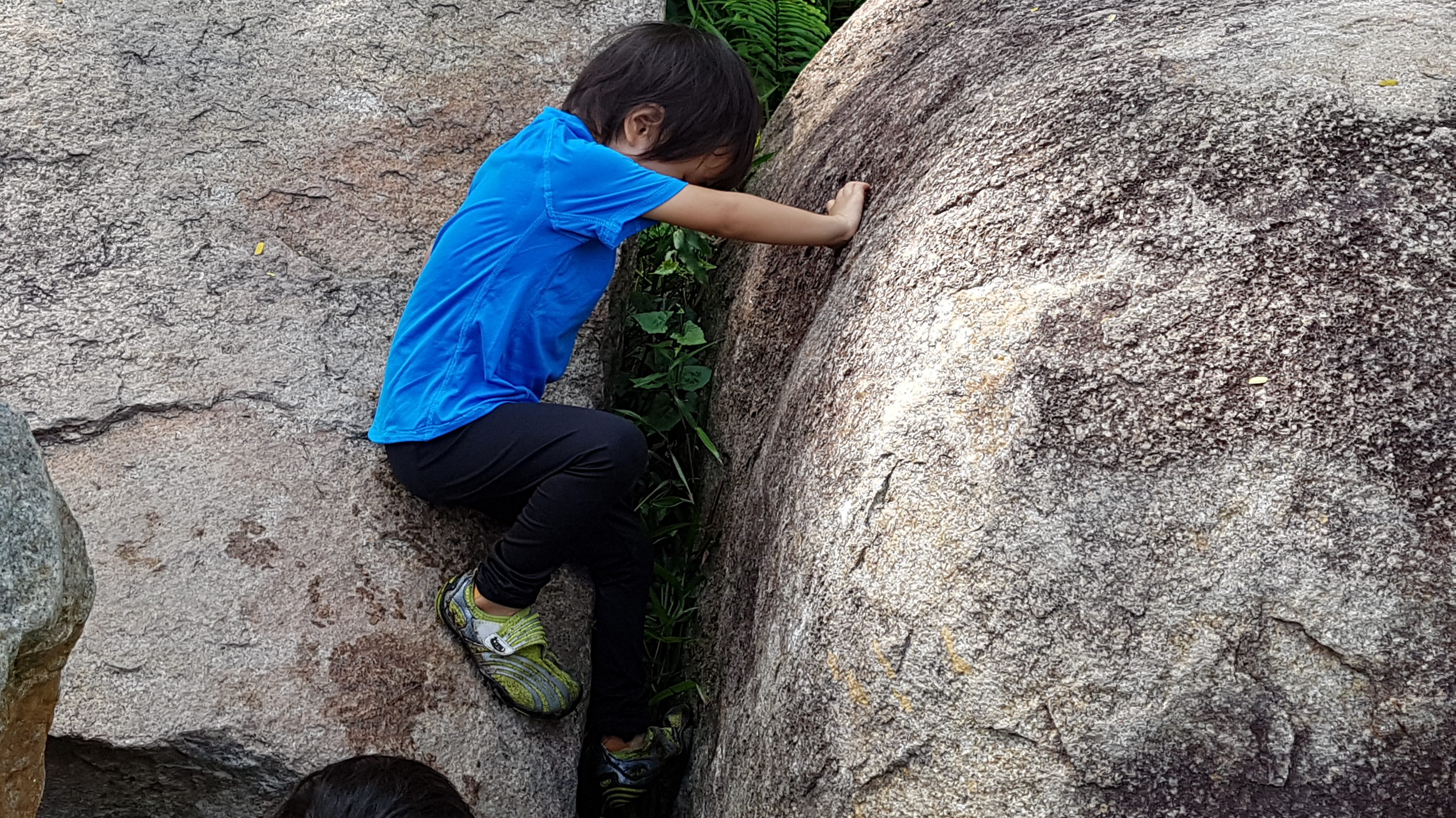 20170610_101748.jpg